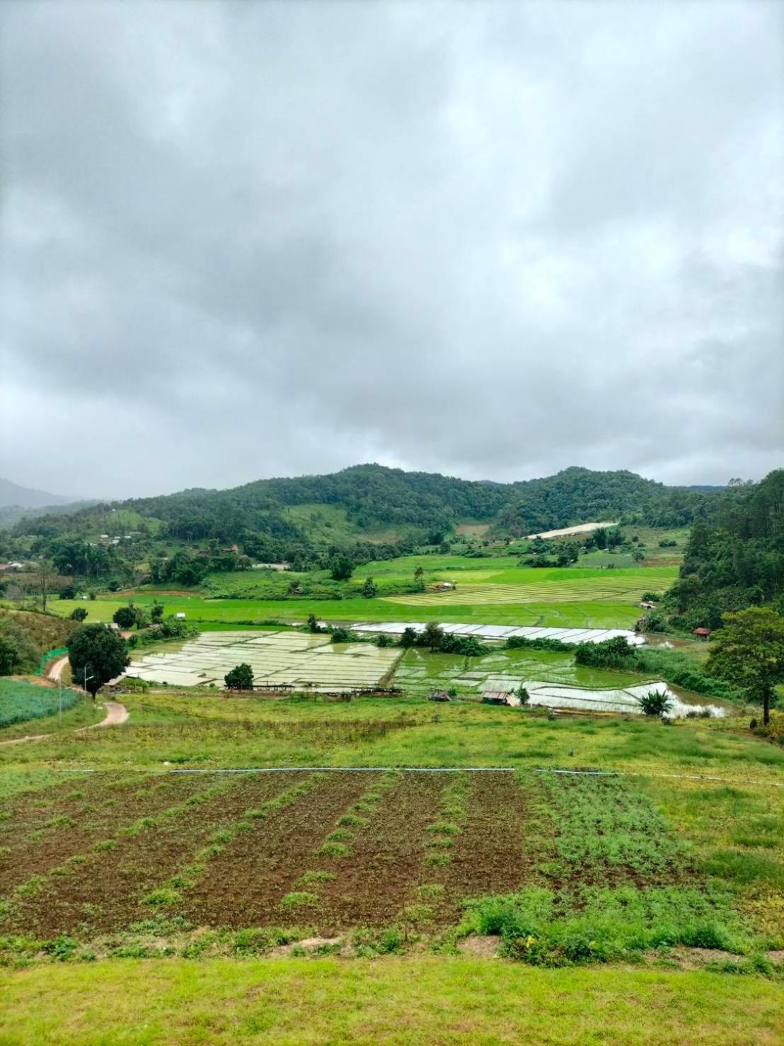 ホテル สวนไร่รุ่งอรุณ Suan Rai Rungarun Ban Na Pa Paek エクステリア 写真